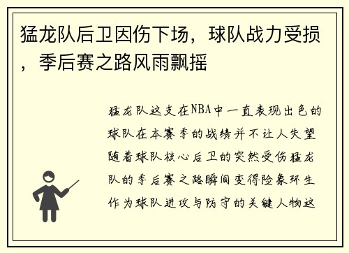 猛龙队后卫因伤下场，球队战力受损，季后赛之路风雨飘摇